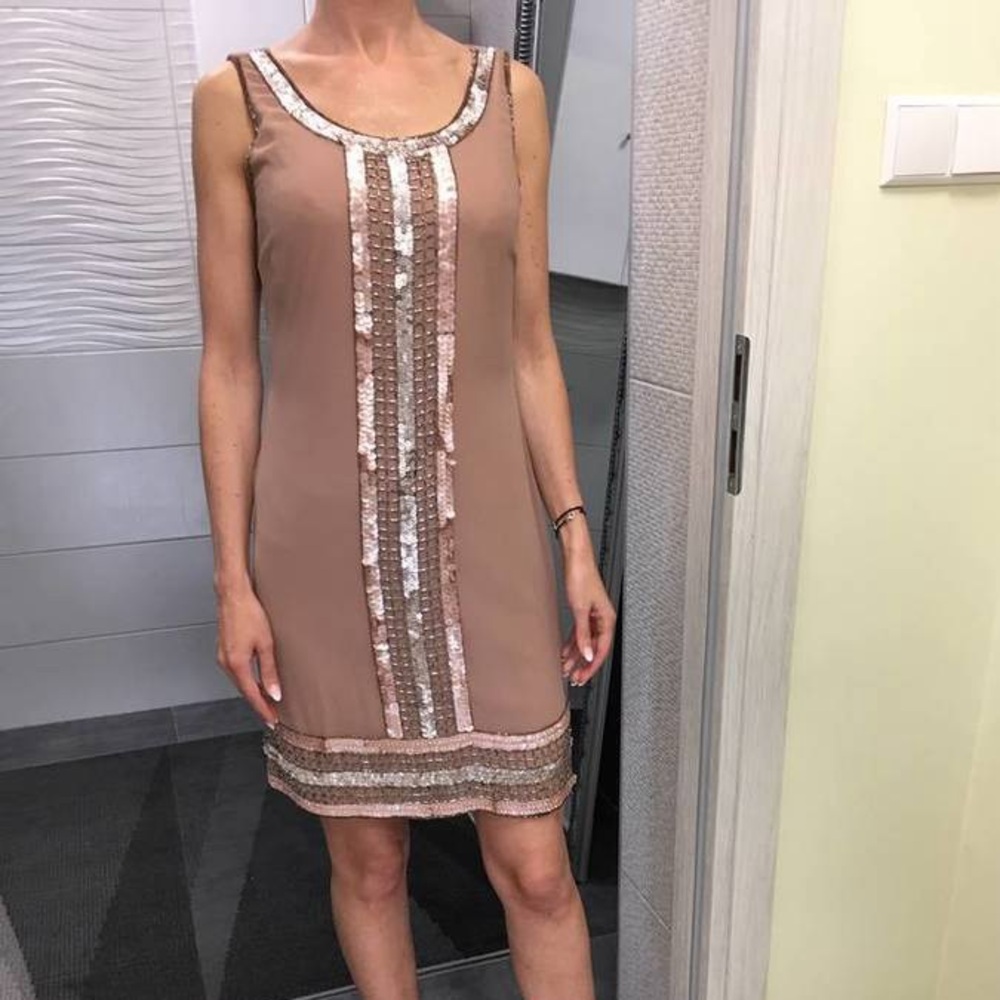 Adrianna Papell Cocktail Sleeveless Metallic Beaded Mauve Dress Size 10P